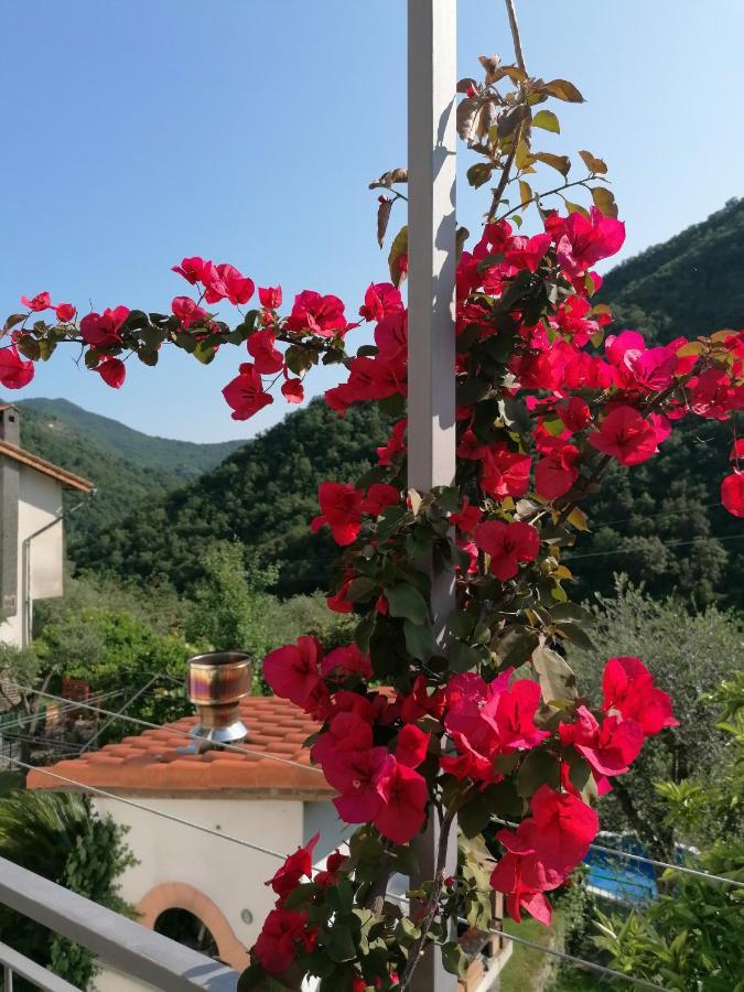 Casa Andreina Villa Salto Chiesa Eksteriør bilde
